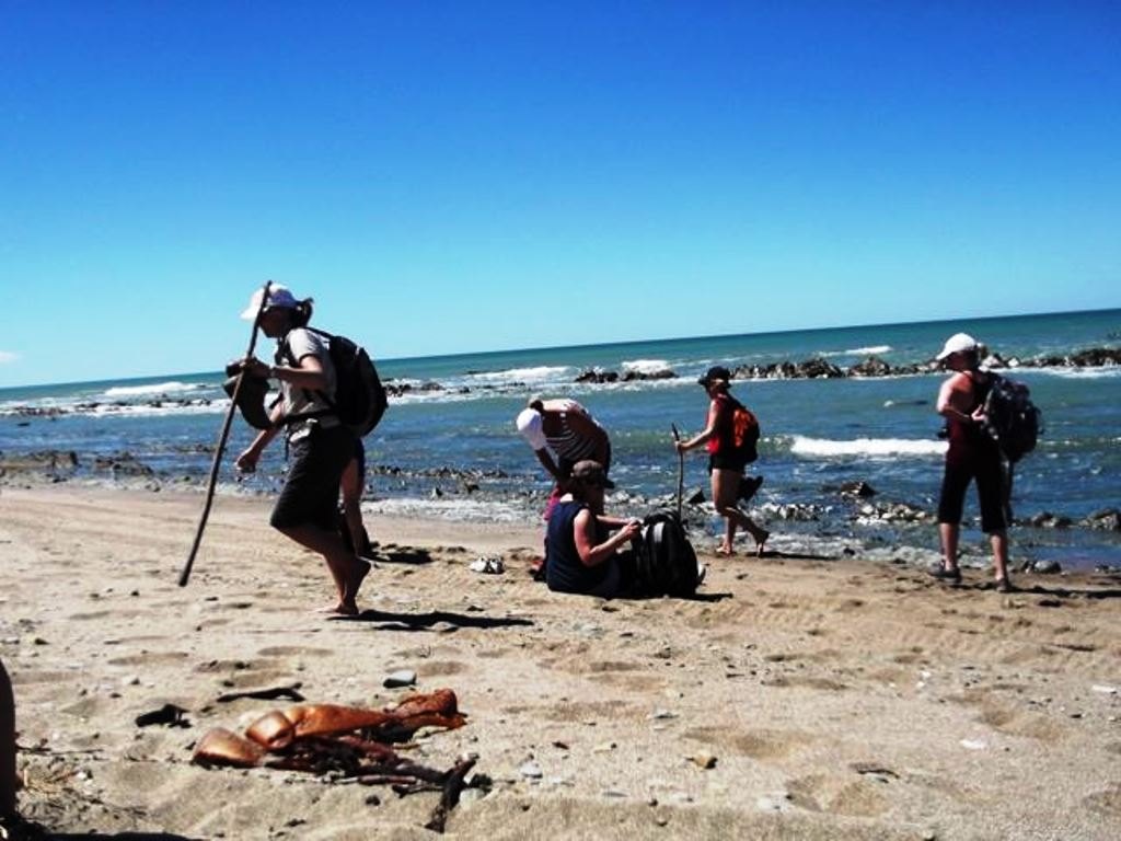 Whareama walkers on the beach section of the route