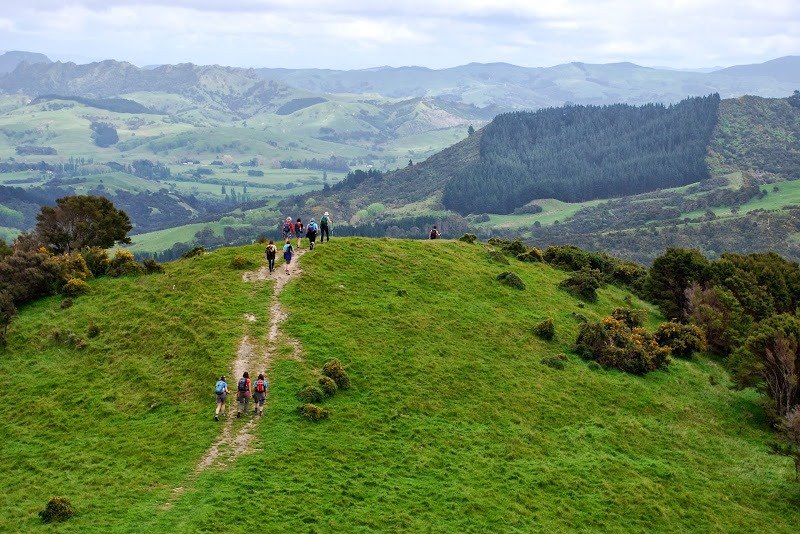 Walkers following the green back-country route on Day 2