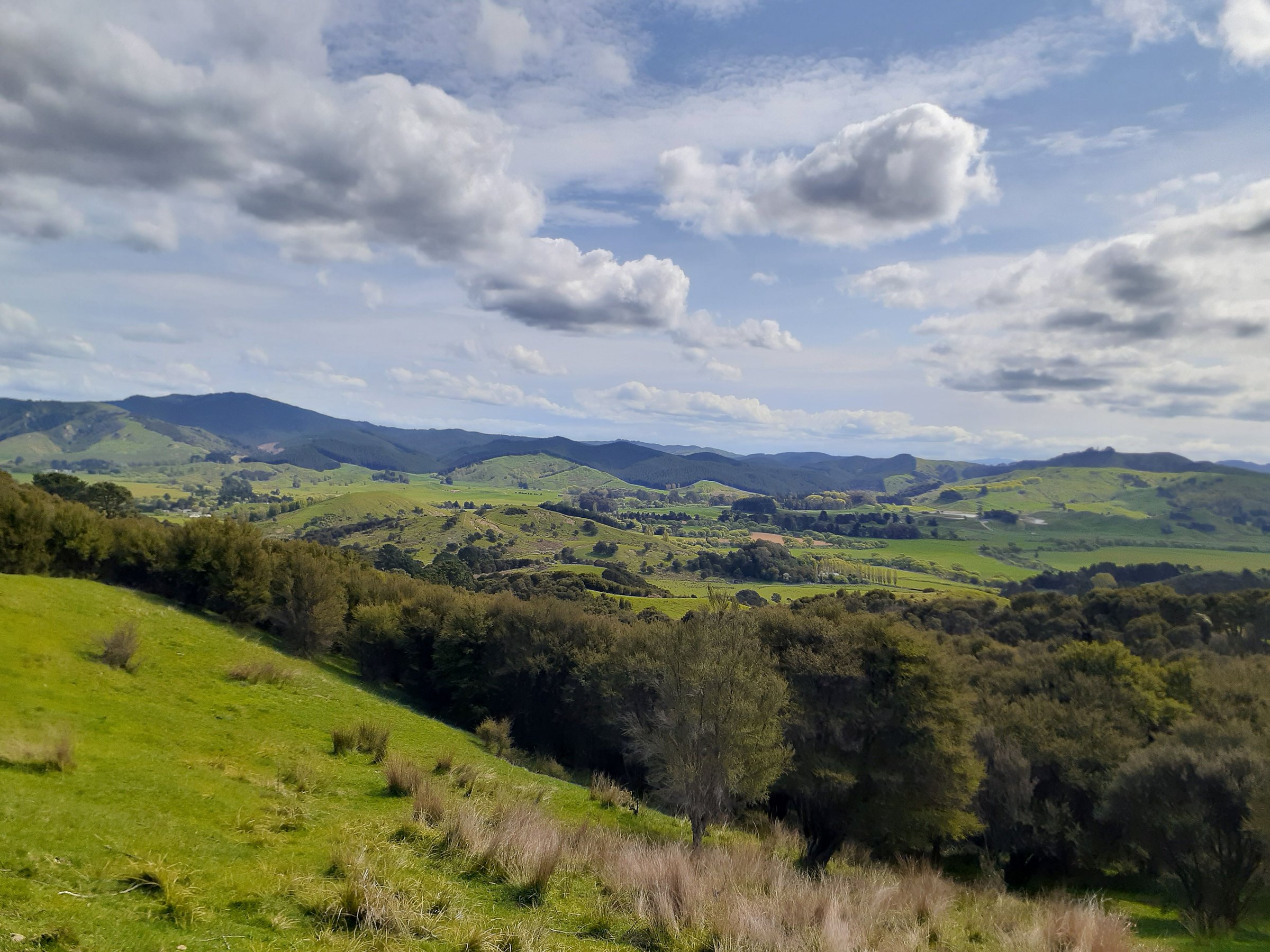 Bush / Back Country Walk